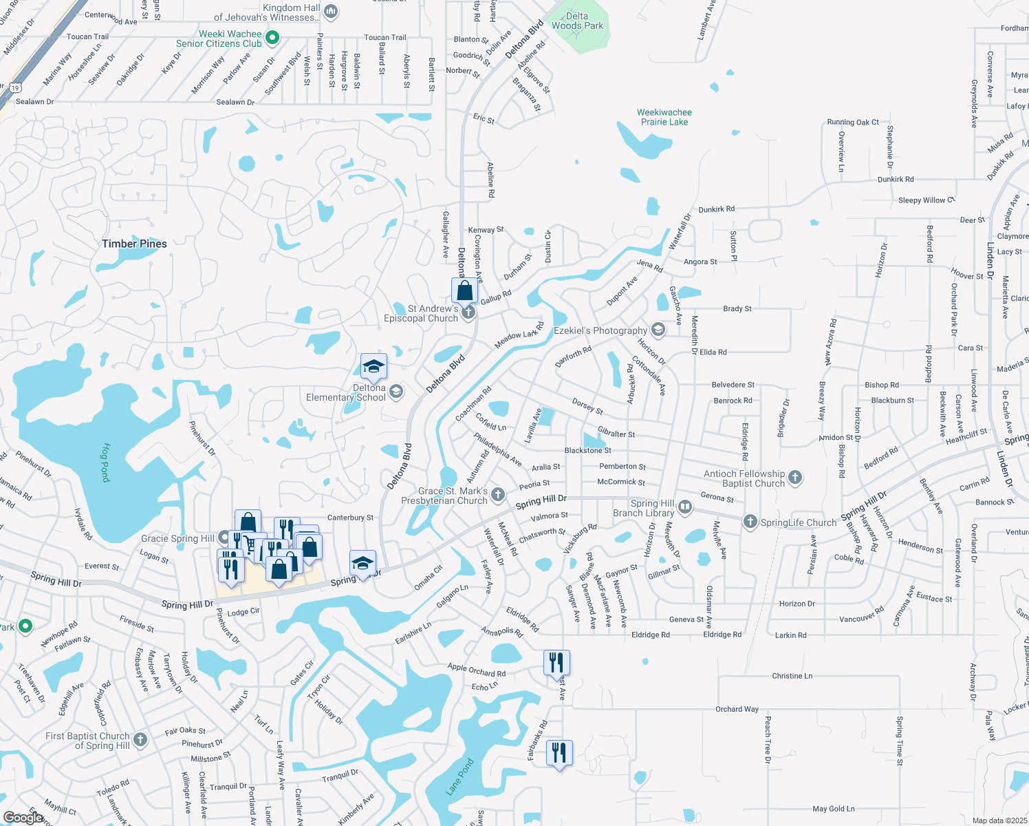 map of restaurants, bars, coffee shops, grocery stores, and more near 2043 Waterfall Drive in Spring Hill
