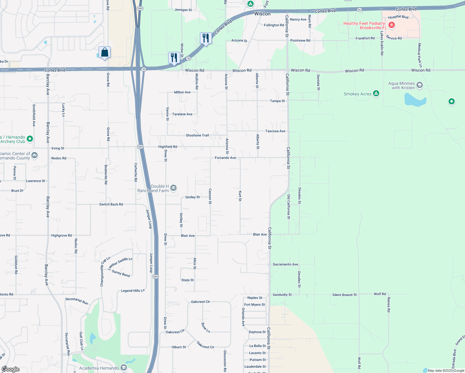 map of restaurants, bars, coffee shops, grocery stores, and more near 6175 Kurt Street in Brooksville
