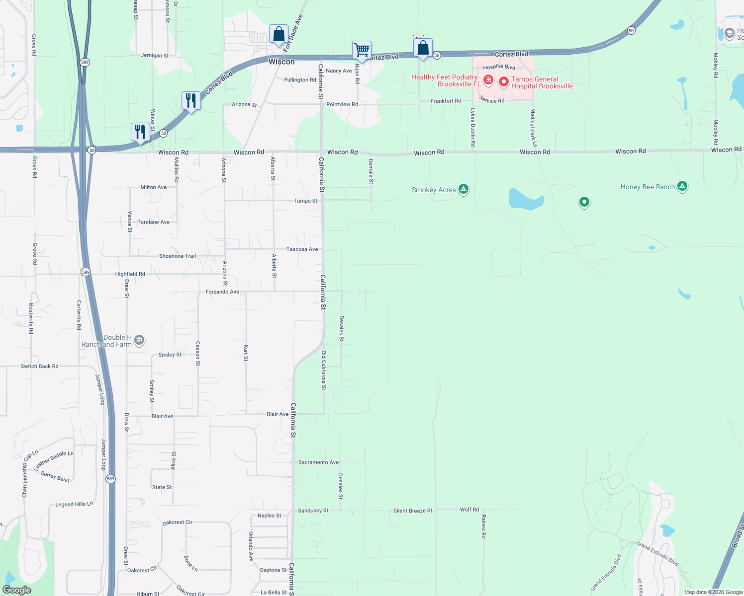 map of restaurants, bars, coffee shops, grocery stores, and more near 16426 Forzando Avenue in Brooksville