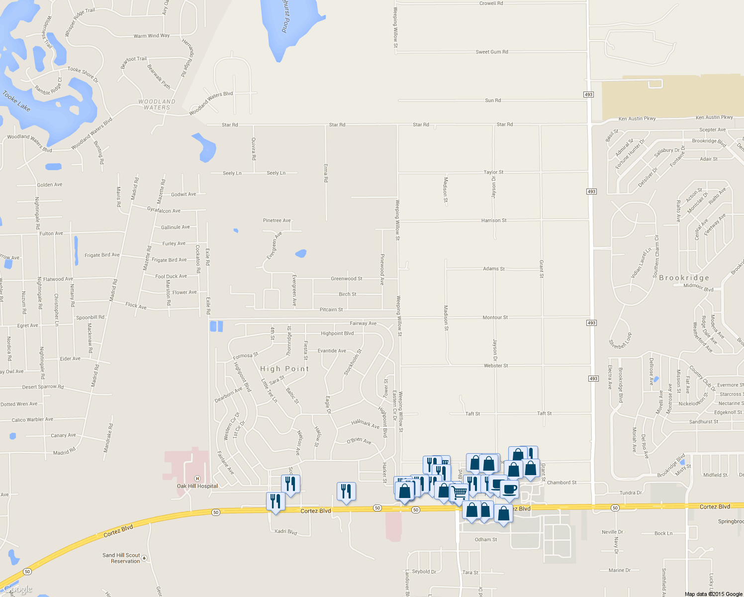 map of restaurants, bars, coffee shops, grocery stores, and more near 12340 Birch Street in Brooksville