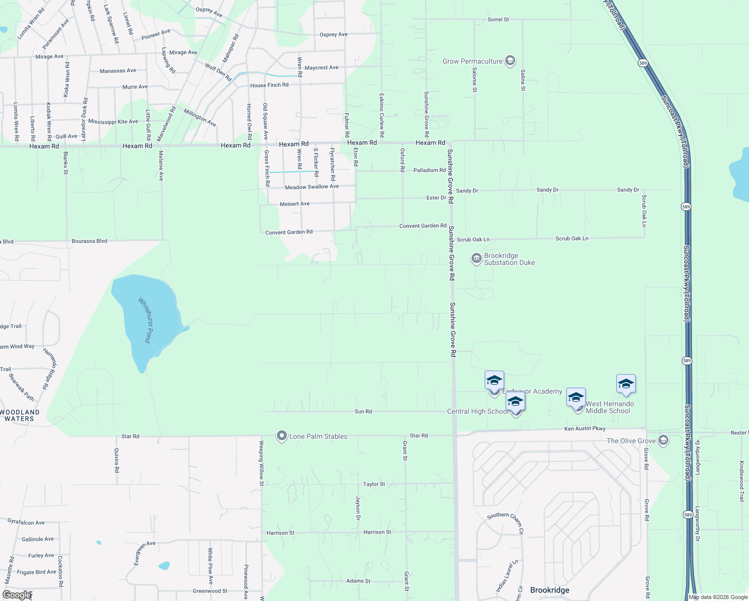 map of restaurants, bars, coffee shops, grocery stores, and more near 13205 Crowell Road in Brooksville