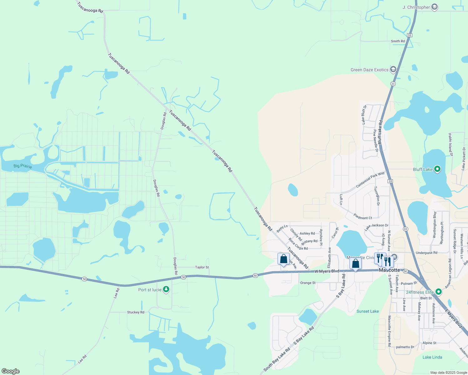 map of restaurants, bars, coffee shops, grocery stores, and more near 16509 Tuscanooga Road in Groveland