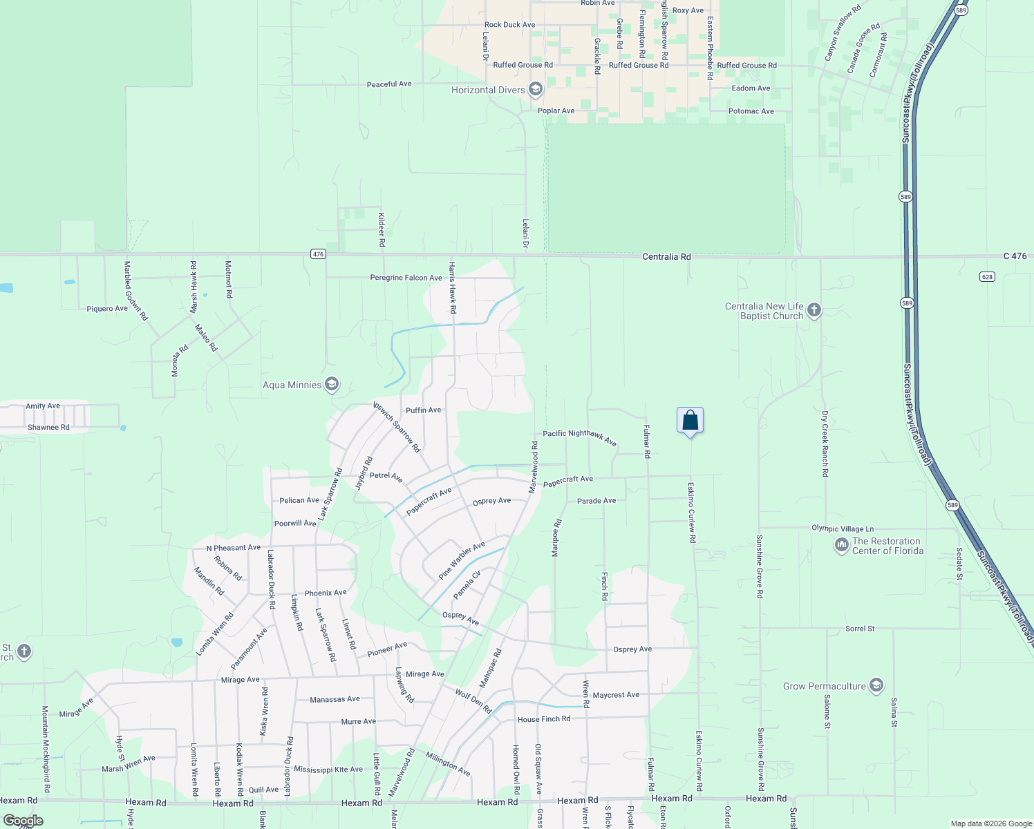 map of restaurants, bars, coffee shops, grocery stores, and more near 12360 Horner Road in Weeki Wachee