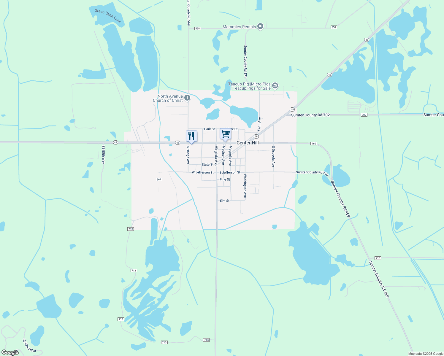 map of restaurants, bars, coffee shops, grocery stores, and more near 244 Madison Avenue in Center Hill