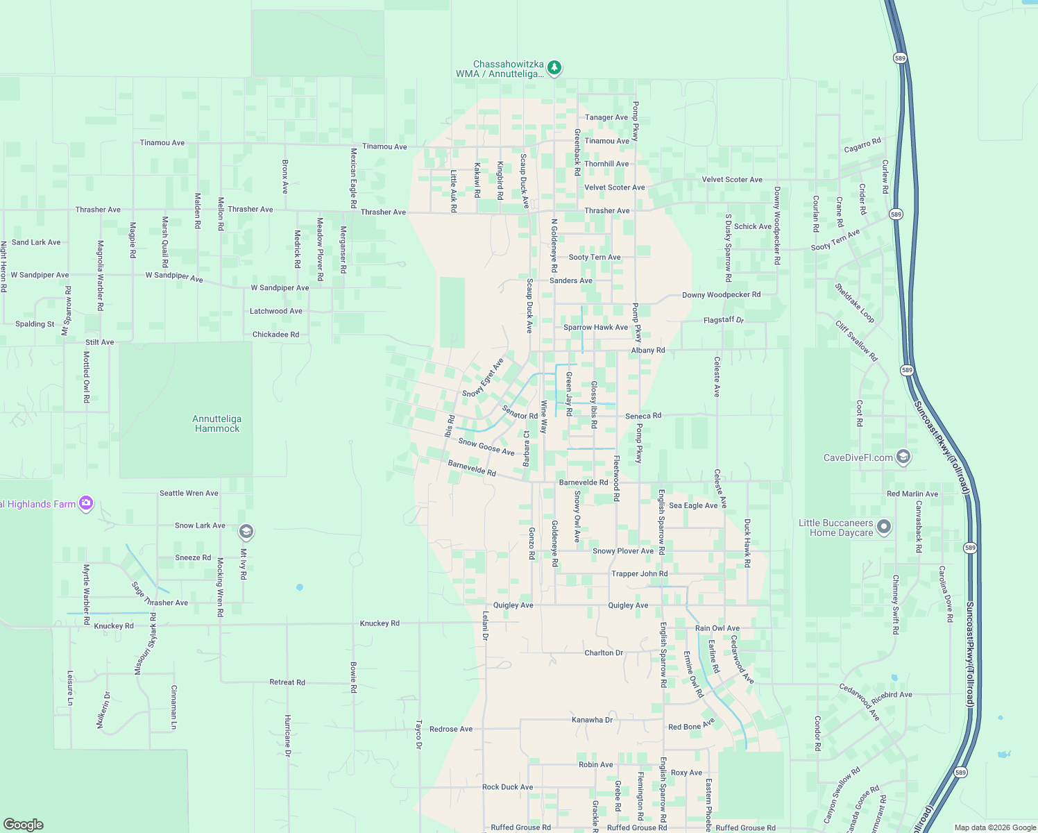 map of restaurants, bars, coffee shops, grocery stores, and more near Senator Rd in Brooksville