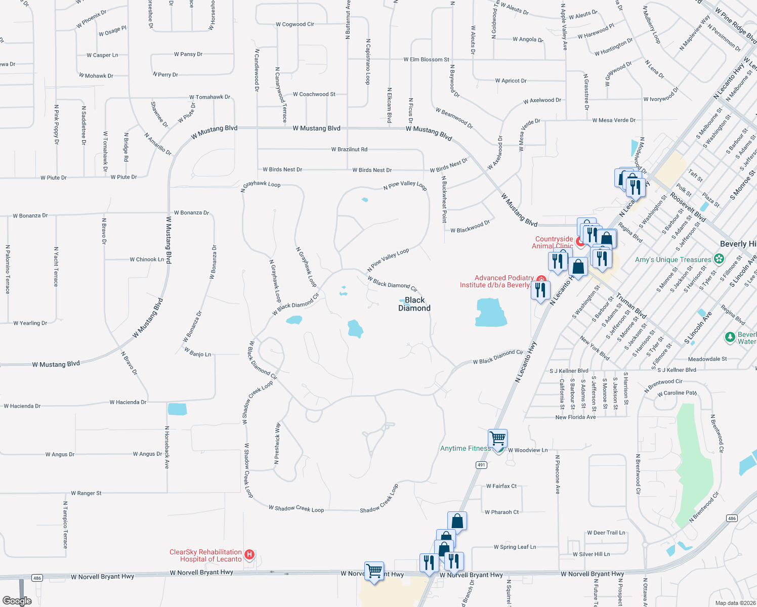 map of restaurants, bars, coffee shops, grocery stores, and more near 3355 North Bent Tree Point in Lecanto