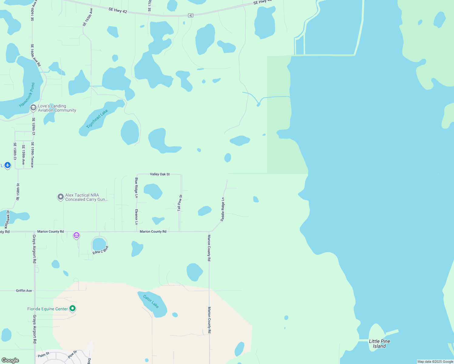 map of restaurants, bars, coffee shops, grocery stores, and more near 41529 Saddle Ridge Lane in Lady Lake