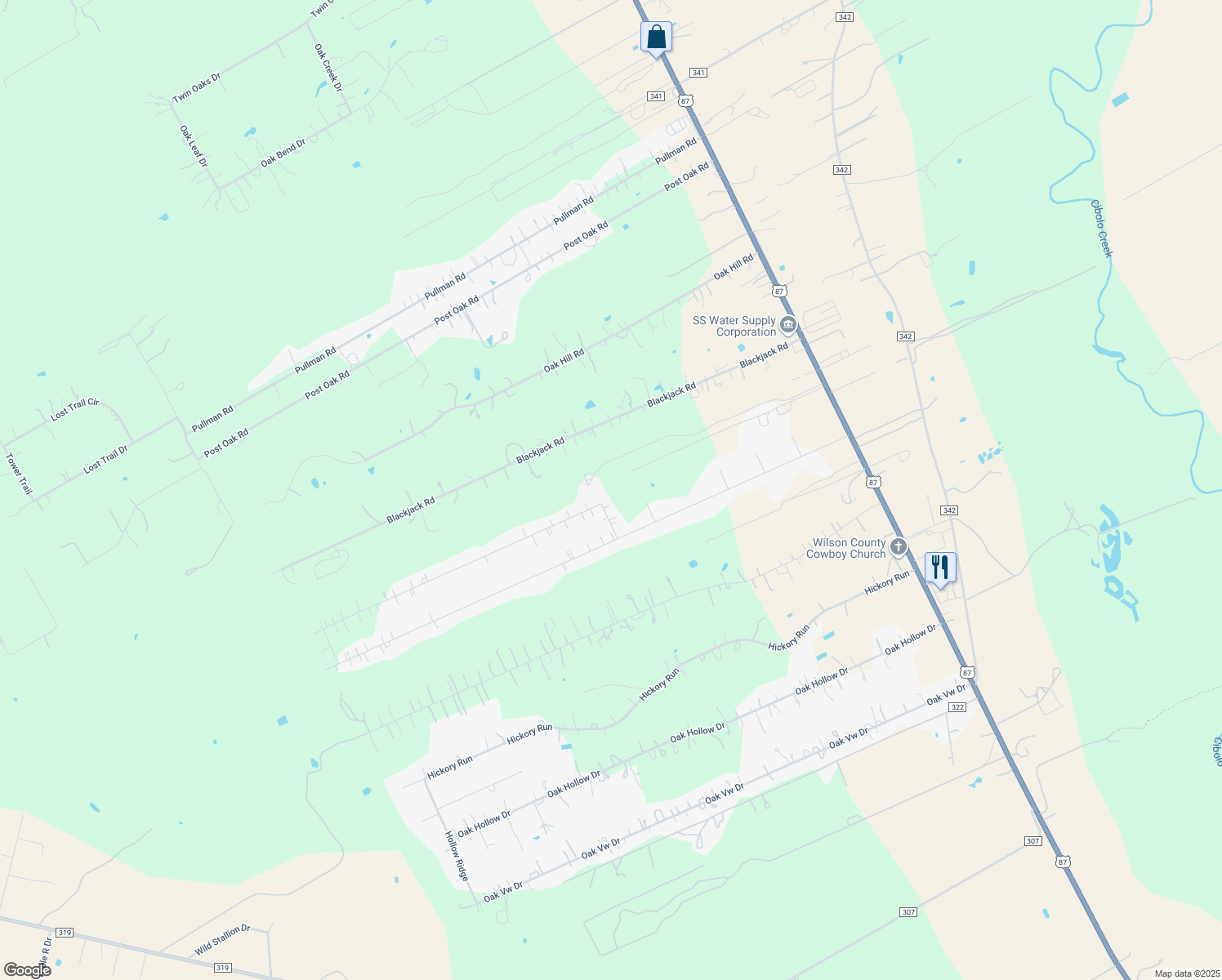 map of restaurants, bars, coffee shops, grocery stores, and more near 10093 Us Highway 87 West in La Vernia