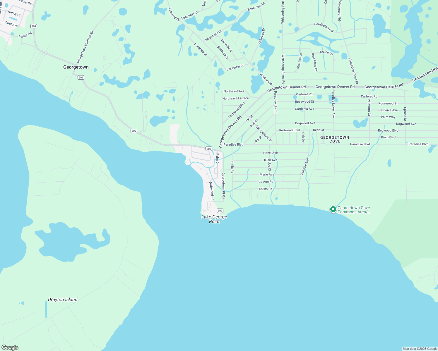 map of restaurants, bars, coffee shops, grocery stores, and more near 156 Palm Drive in Georgetown
