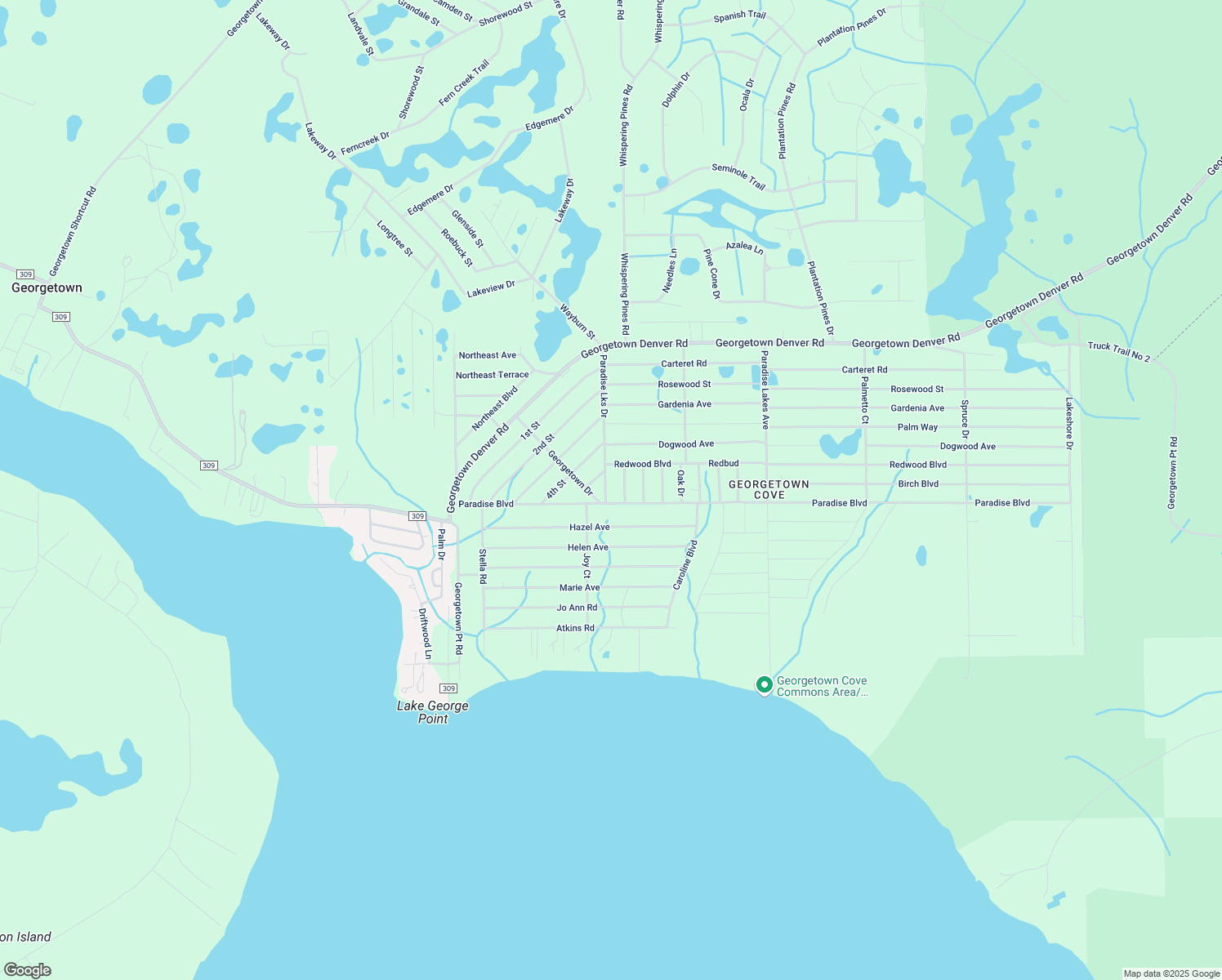 map of restaurants, bars, coffee shops, grocery stores, and more near 708 Paradise Lakes Avenue in Georgetown