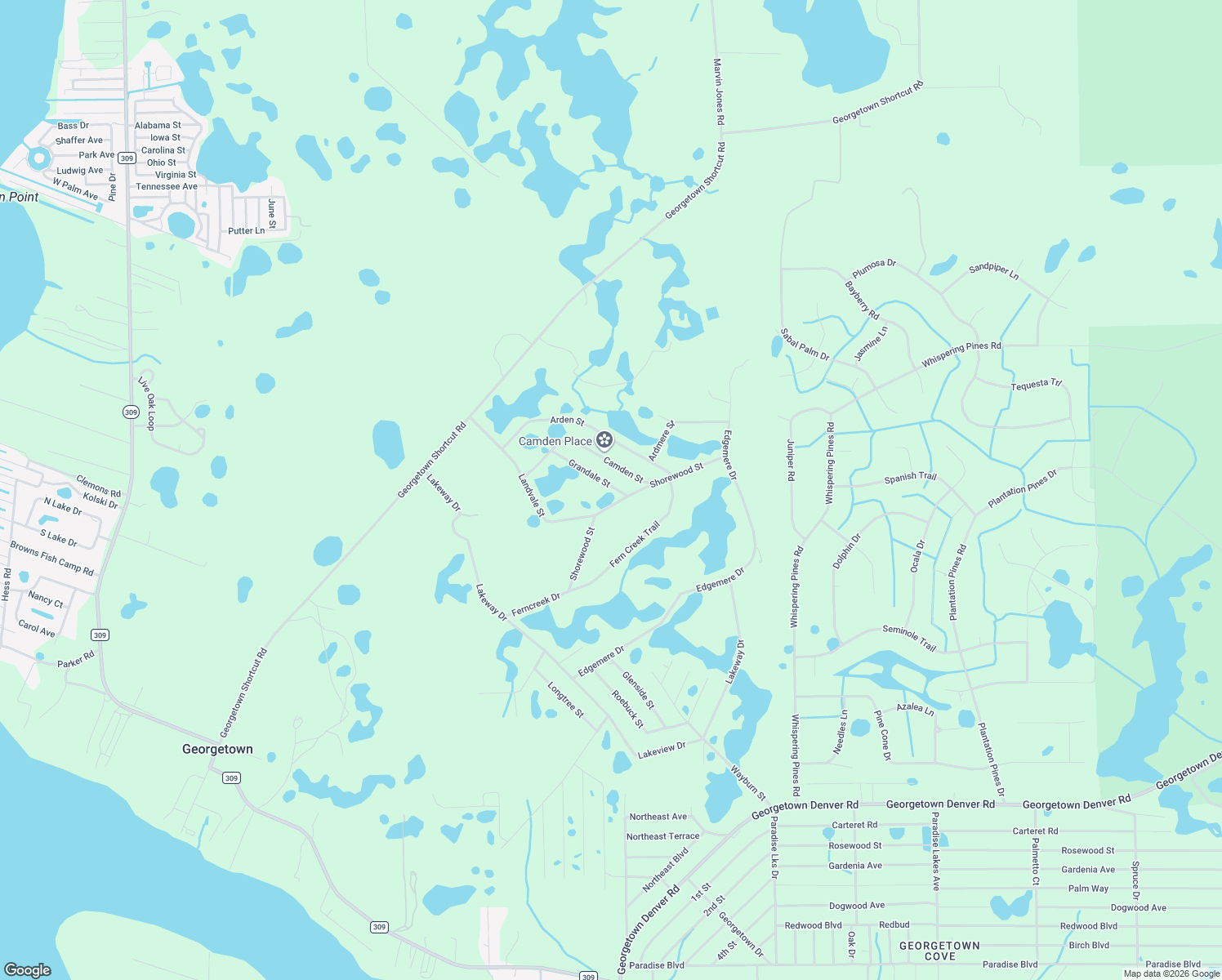 map of restaurants, bars, coffee shops, grocery stores, and more near 129 Grandale Street in Georgetown