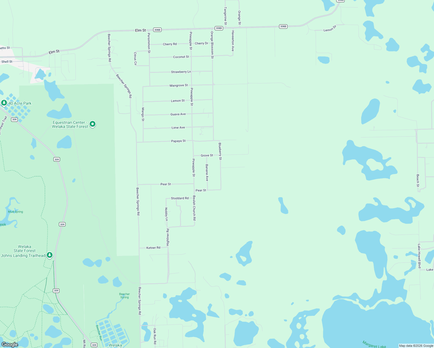 map of restaurants, bars, coffee shops, grocery stores, and more near 305 Blueberry Street in Welaka