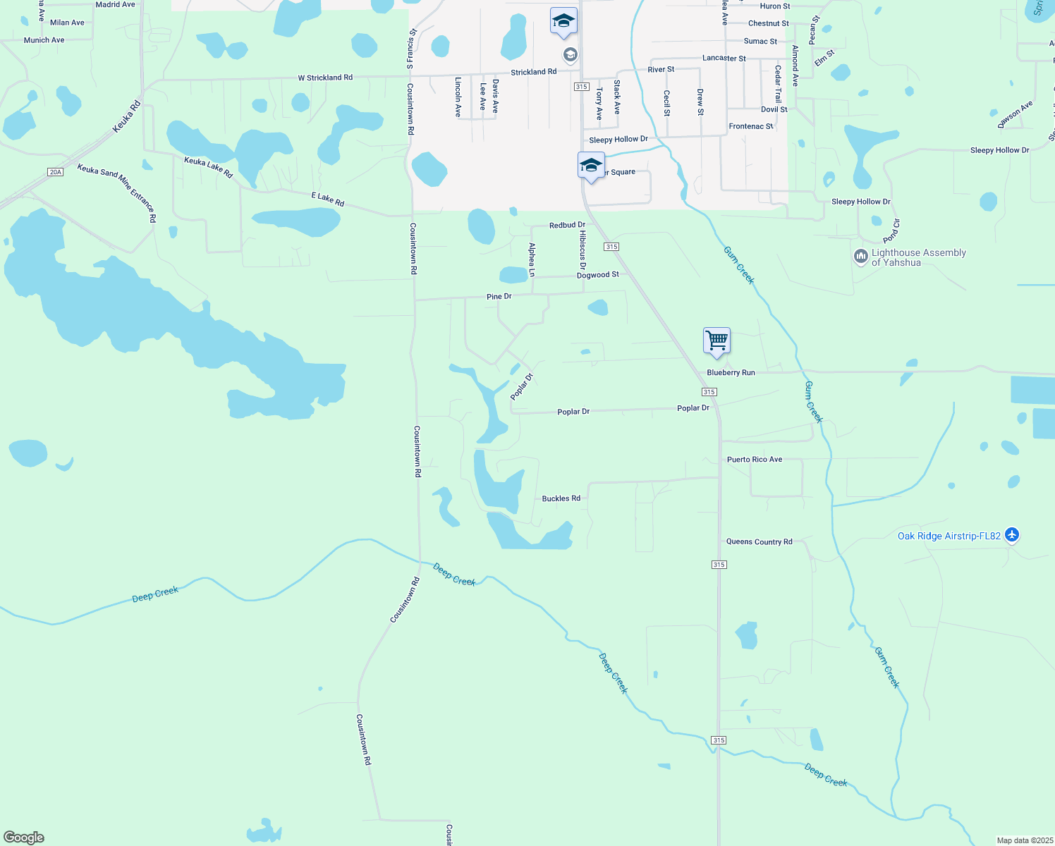 map of restaurants, bars, coffee shops, grocery stores, and more near 102 East Oakside Drive in Interlachen