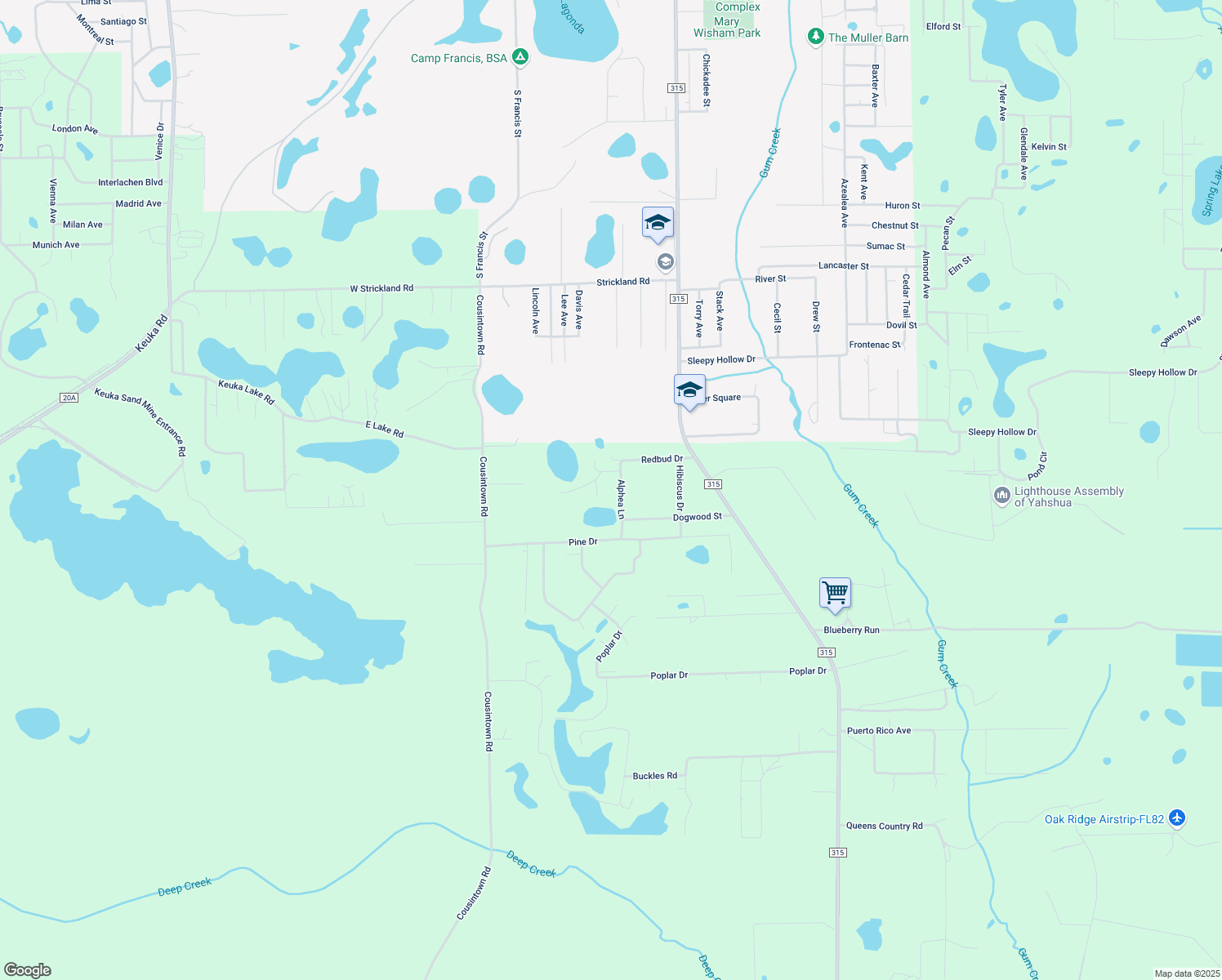 map of restaurants, bars, coffee shops, grocery stores, and more near 111 Alphea Lane in Interlachen