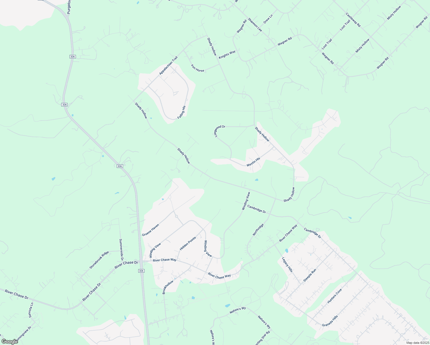 map of restaurants, bars, coffee shops, grocery stores, and more near 411 Shady Hollow in New Braunfels