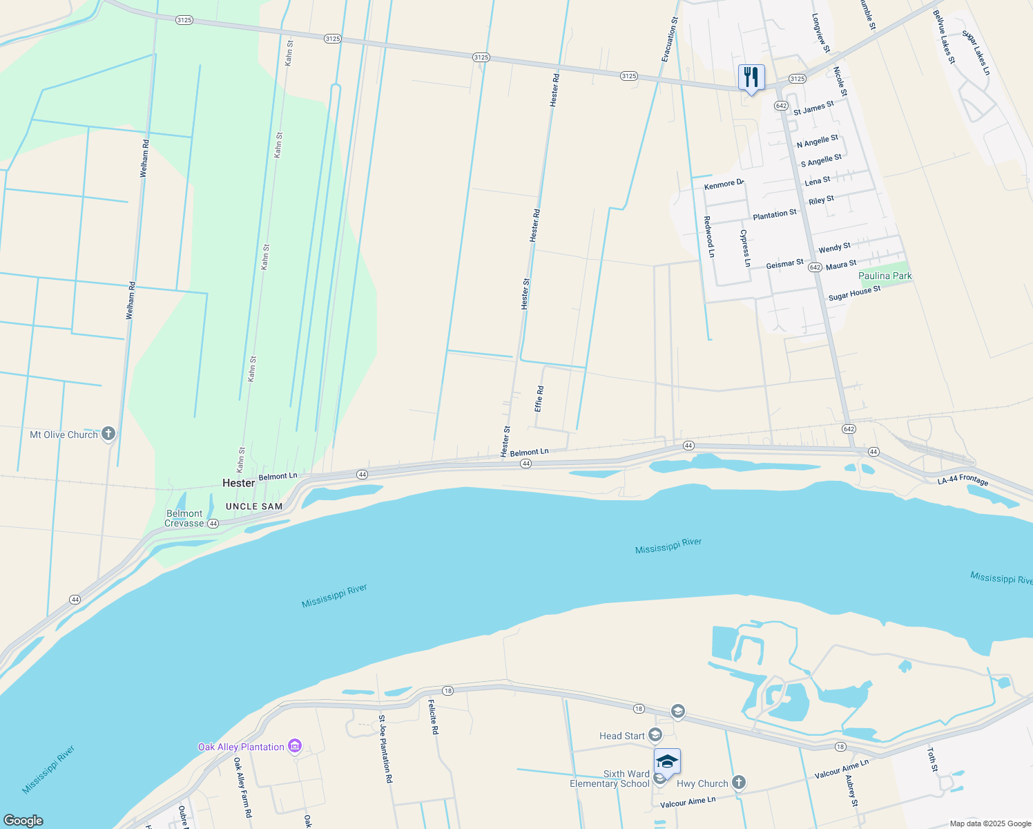 map of restaurants, bars, coffee shops, grocery stores, and more near 4200 Hester Street in Paulina