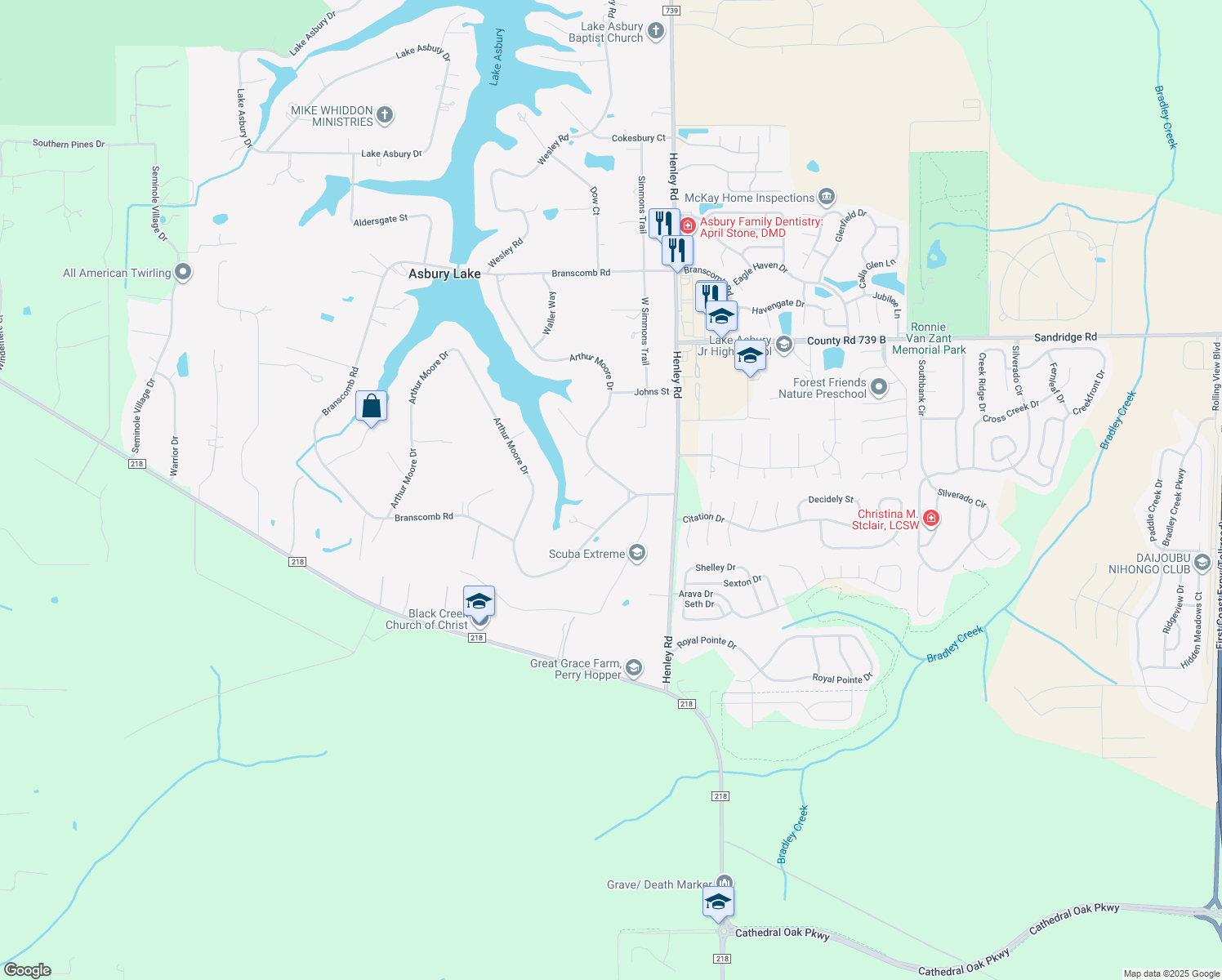 map of restaurants, bars, coffee shops, grocery stores, and more near 433 Arthur Moore Drive in Green Cove Springs