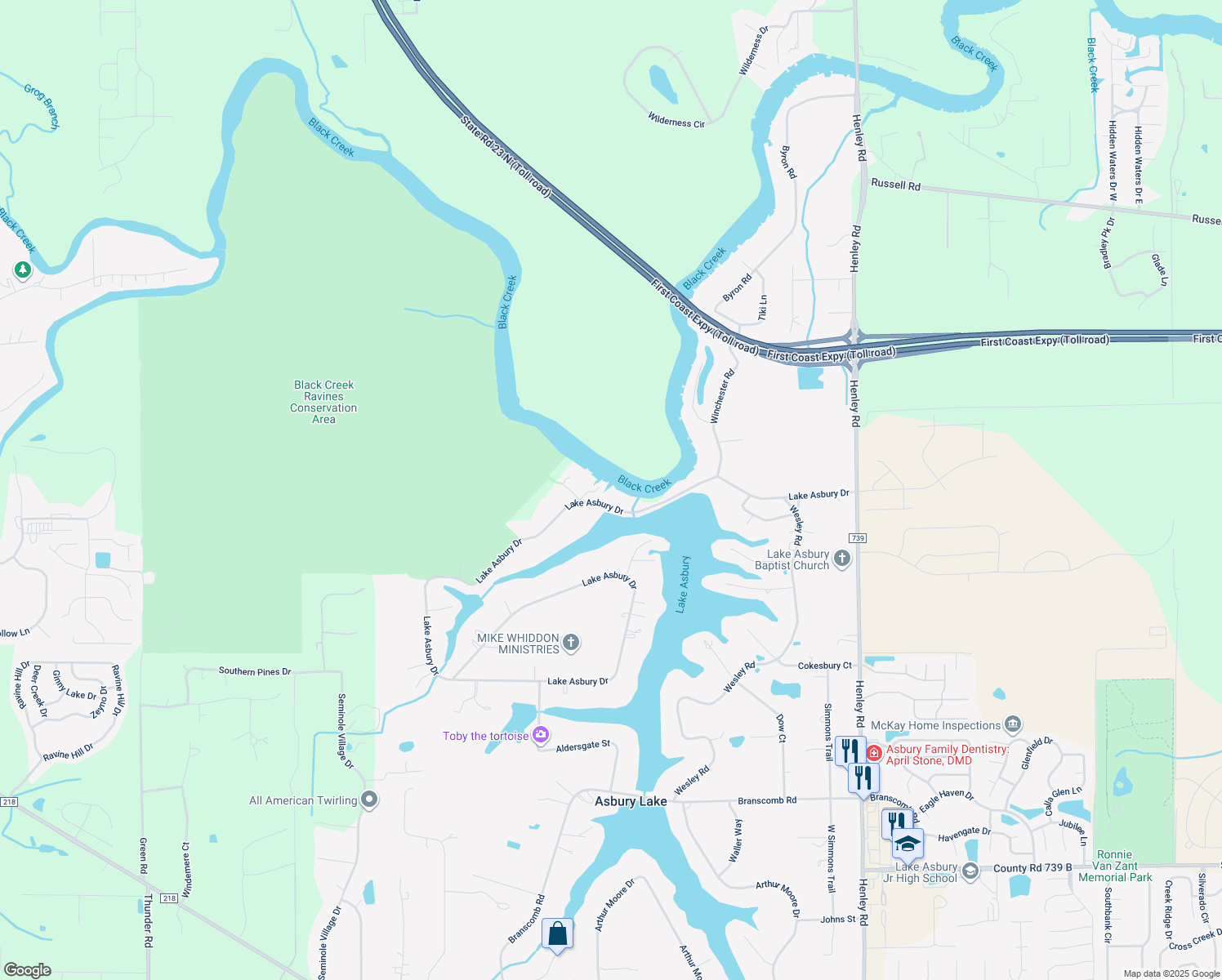 419 Lake Asbury Drive, Green Cove Springs FL Walk Score