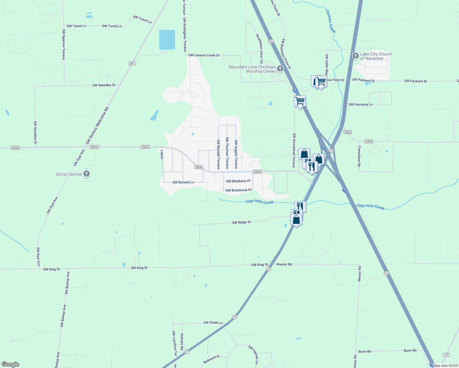 map of restaurants, bars, coffee shops, grocery stores, and more near 294 Southwest Blueberry Place in Lake City
