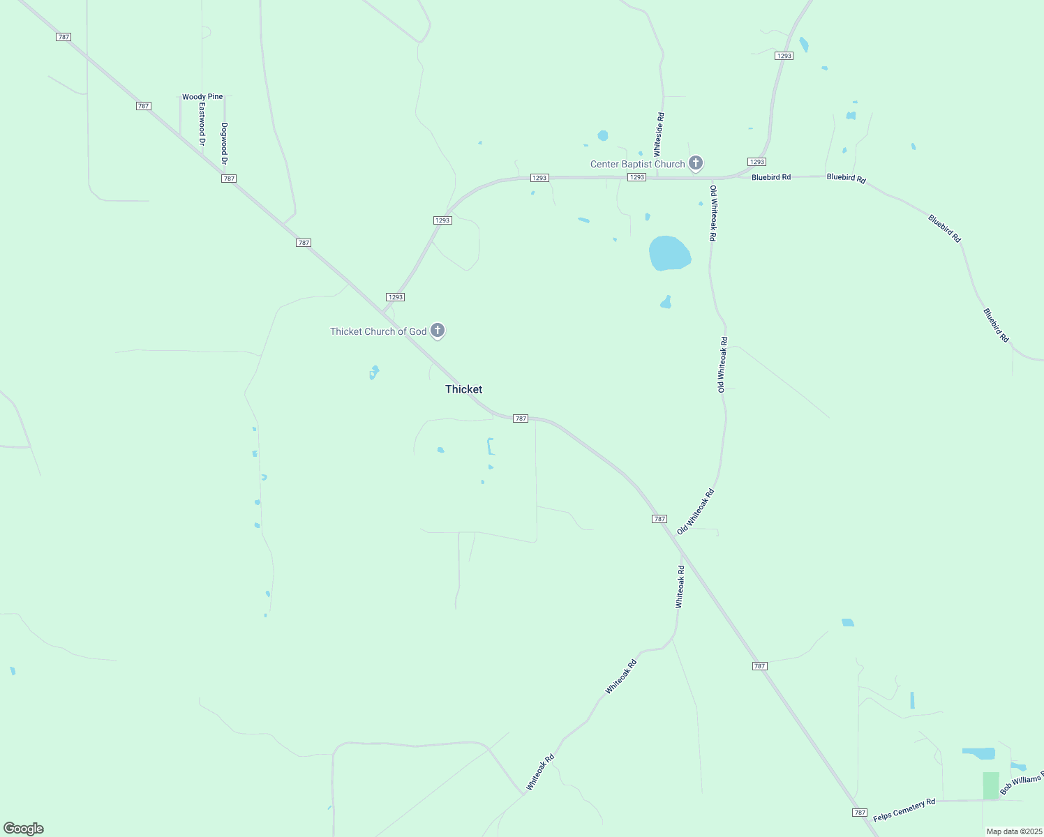 map of restaurants, bars, coffee shops, grocery stores, and more near Farm to Market 787 in Thicket