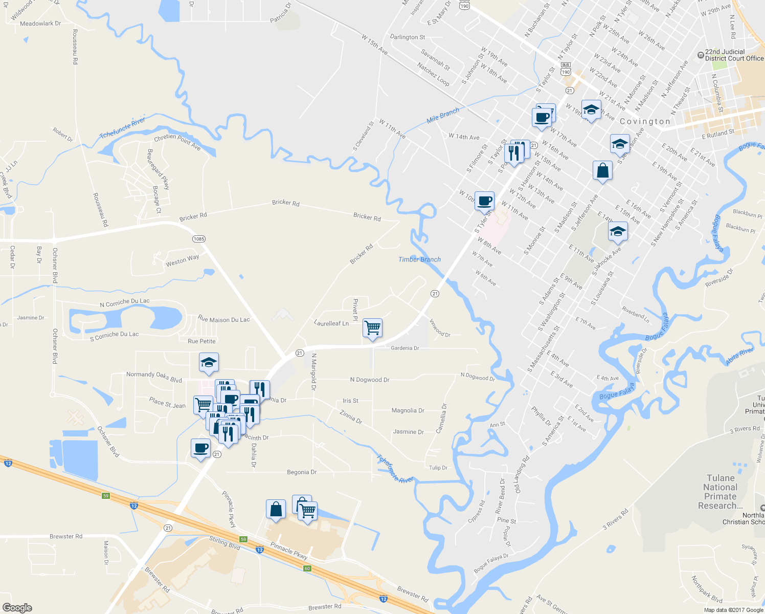 map of restaurants, bars, coffee shops, grocery stores, and more near 235 Cherokee Rose Lane in Covington