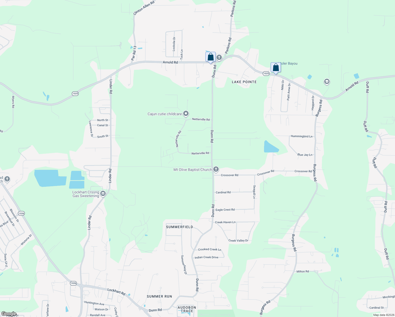 map of restaurants, bars, coffee shops, grocery stores, and more near 31543 Netterville Road in Denham Springs