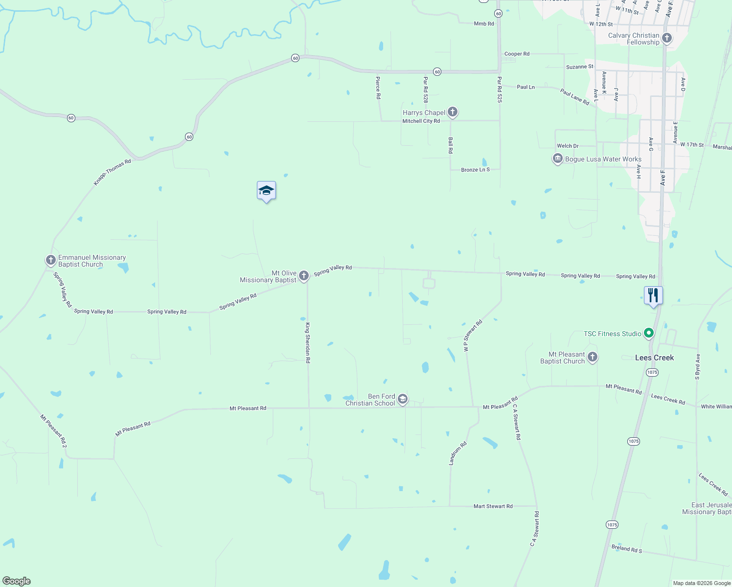 map of restaurants, bars, coffee shops, grocery stores, and more near 59162 Spring Valley Road in Bogalusa