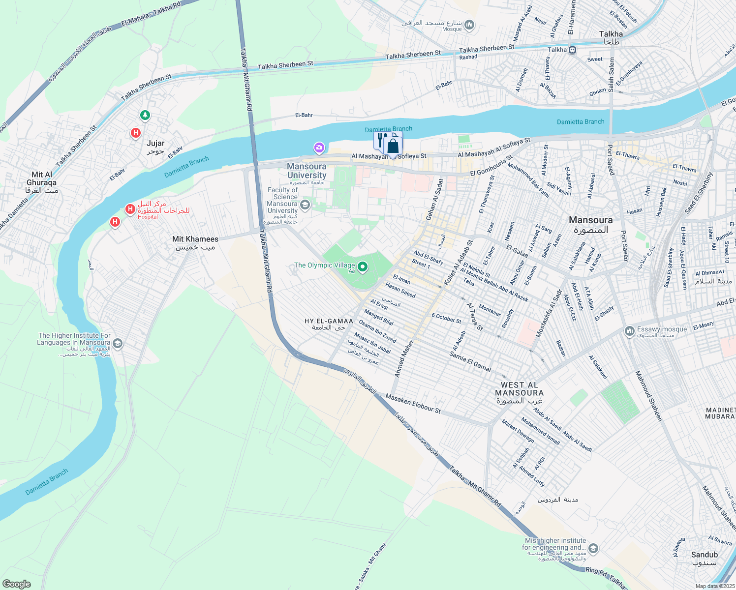 map of restaurants, bars, coffee shops, grocery stores, and more near in El Mansoura 1