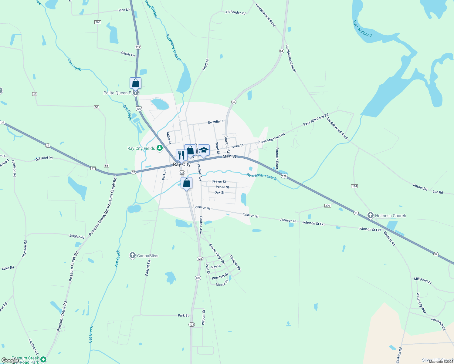map of restaurants, bars, coffee shops, grocery stores, and more near 218 Beaver Street in Ray City