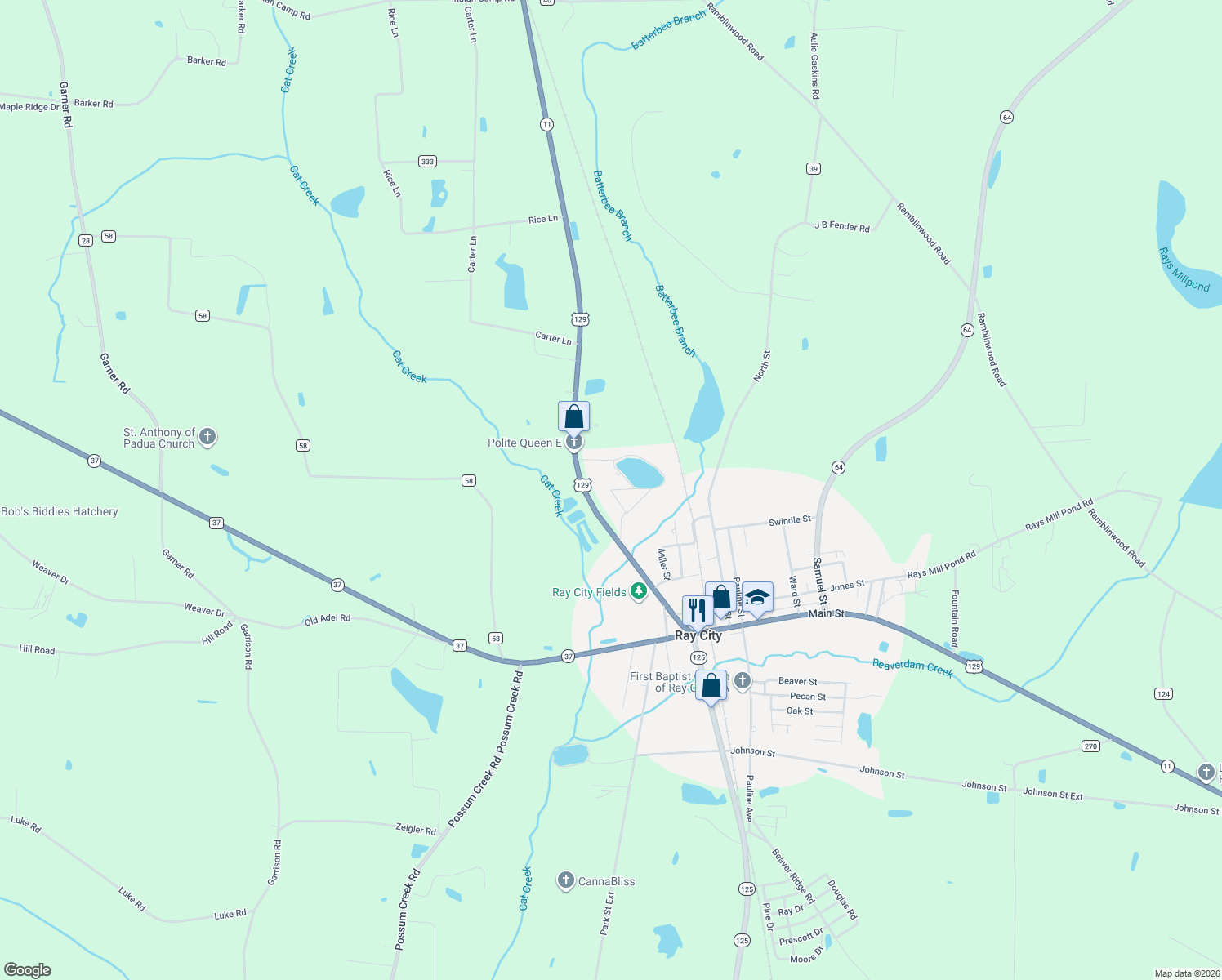 map of restaurants, bars, coffee shops, grocery stores, and more near 284 Dana Drive in Ray City