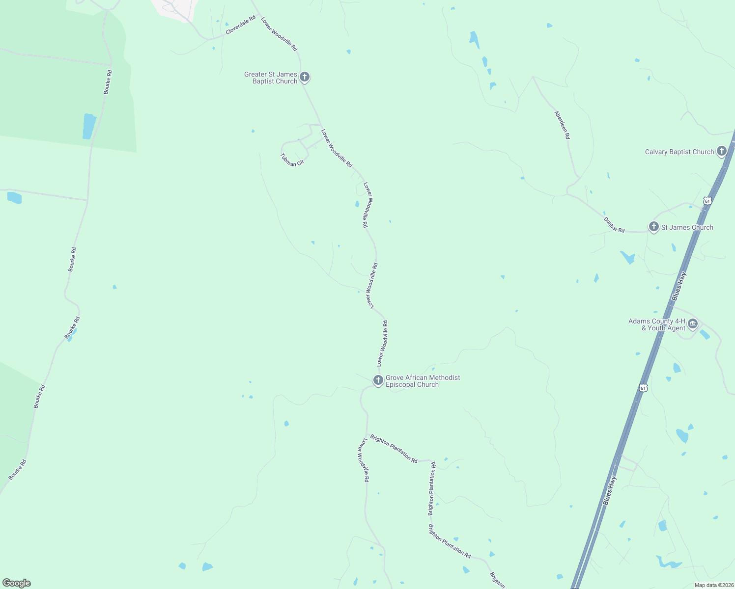 map of restaurants, bars, coffee shops, grocery stores, and more near 673 Lower Woodville Road in Natchez