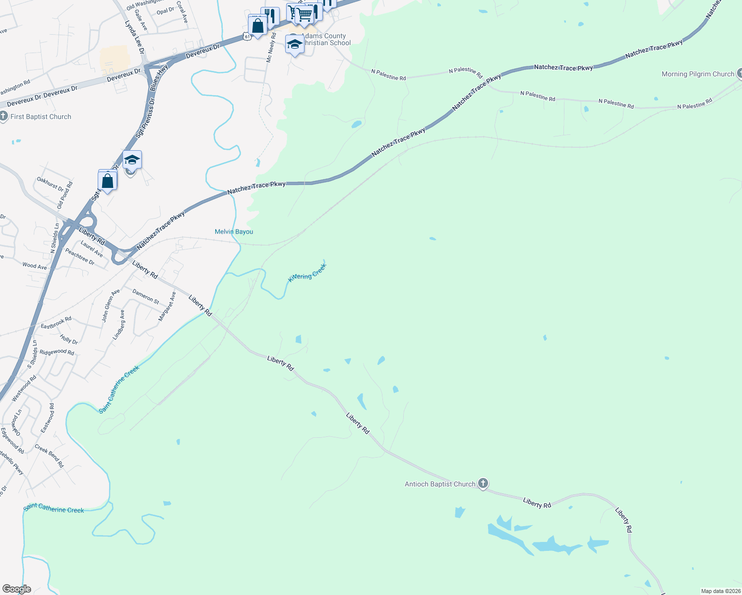 map of restaurants, bars, coffee shops, grocery stores, and more near in Natchez