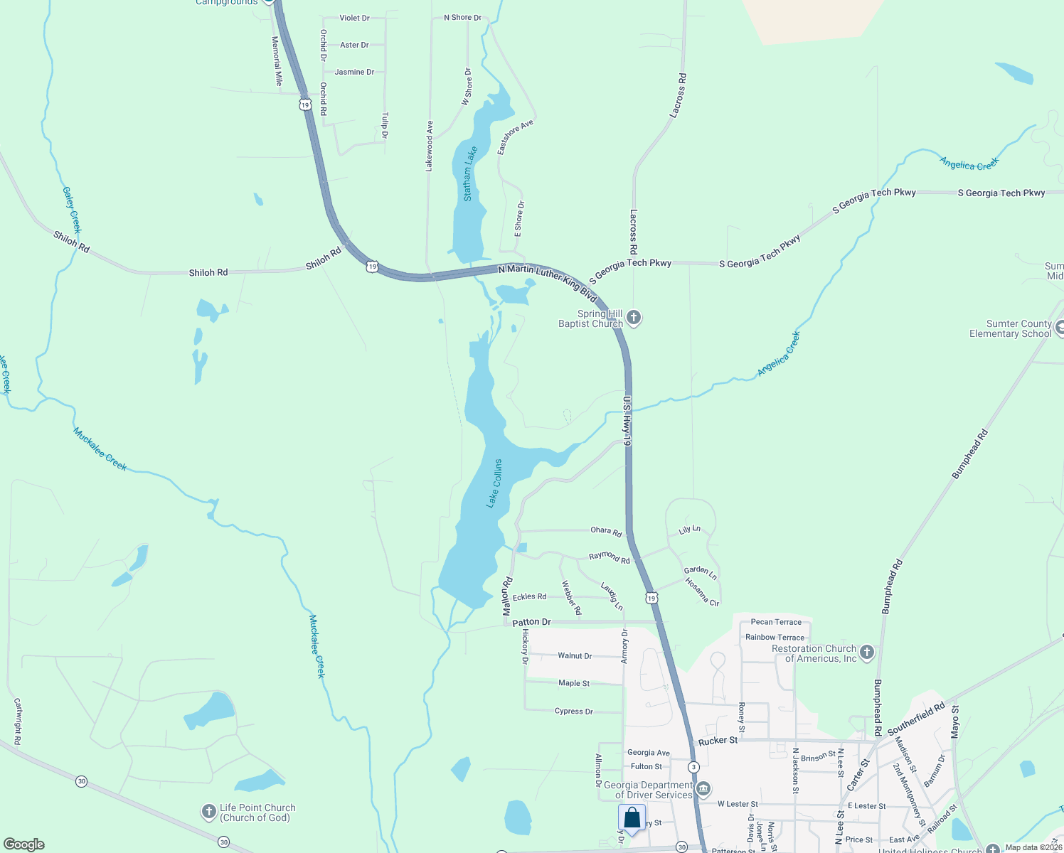 map of restaurants, bars, coffee shops, grocery stores, and more near 198 Lakeshore Drive in Americus