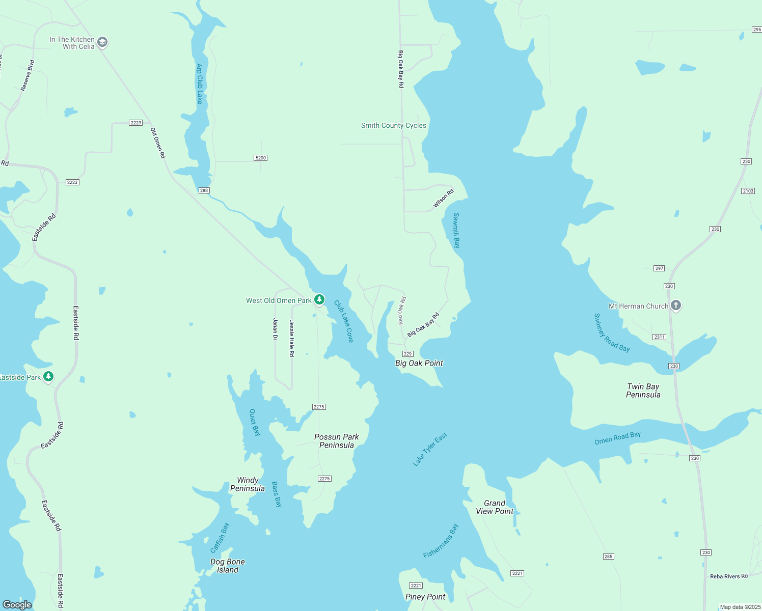 map of restaurants, bars, coffee shops, grocery stores, and more near 16289 Live Oak St in Tyler