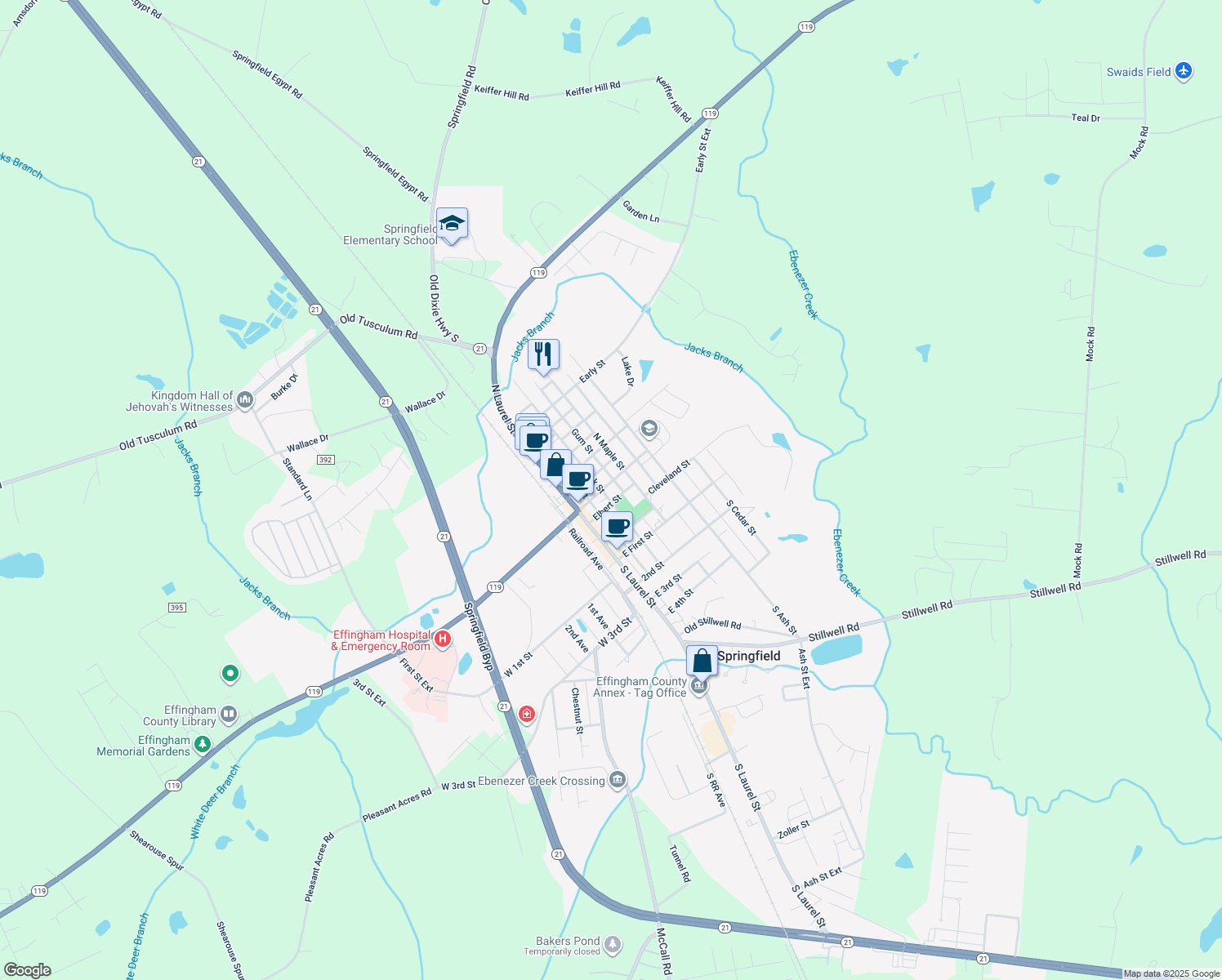 305 North Oak Street, Springfield GA Walk Score