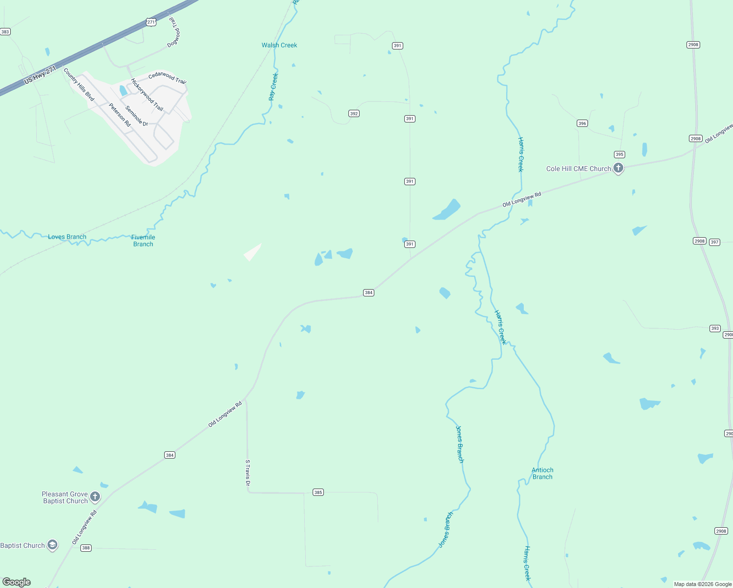 map of restaurants, bars, coffee shops, grocery stores, and more near County Road 384 in Tyler