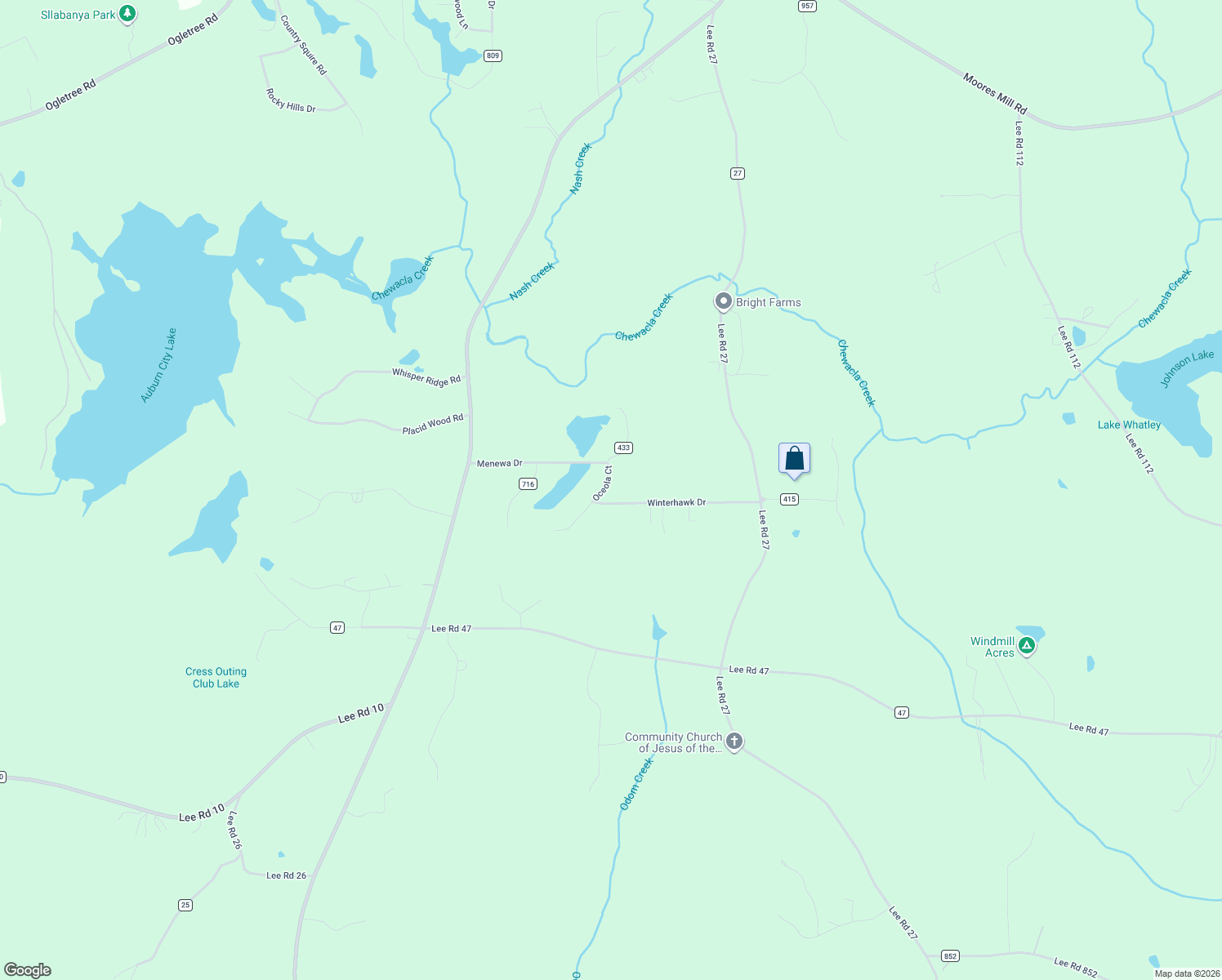 map of restaurants, bars, coffee shops, grocery stores, and more near 67 Lee Road in Auburn