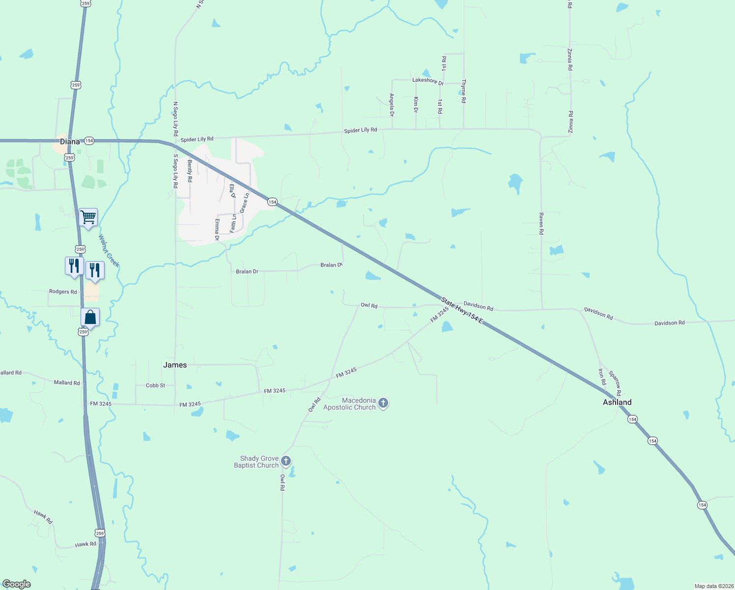 map of restaurants, bars, coffee shops, grocery stores, and more near 2937 Owl Road in Diana