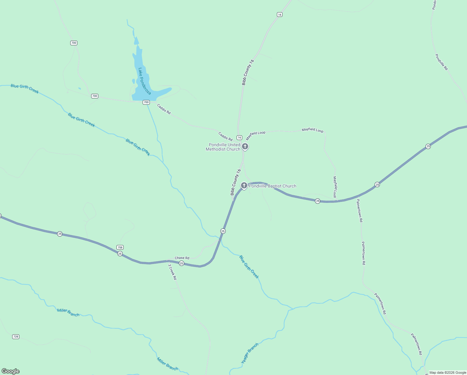 map of restaurants, bars, coffee shops, grocery stores, and more near 238 Bibb County 16 in Brent