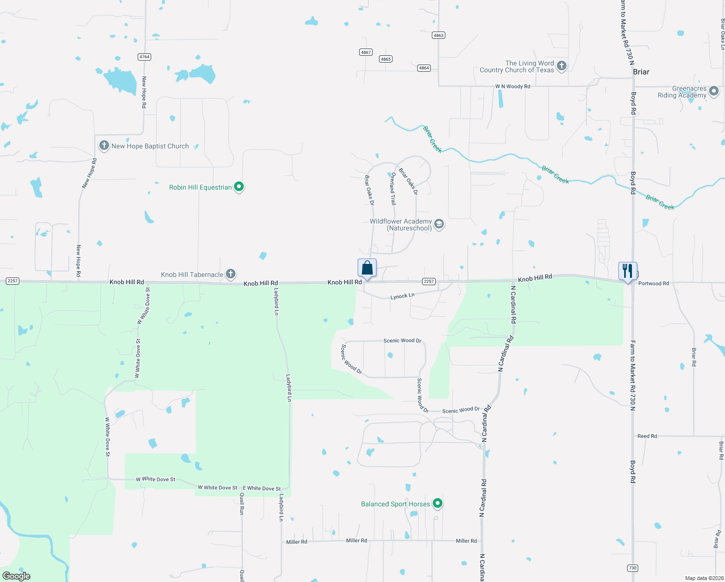 map of restaurants, bars, coffee shops, grocery stores, and more near 118 Sands Drive in Azle