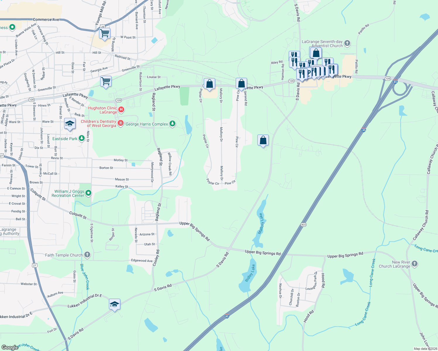 map of restaurants, bars, coffee shops, grocery stores, and more near 176 Mallory Drive in LaGrange
