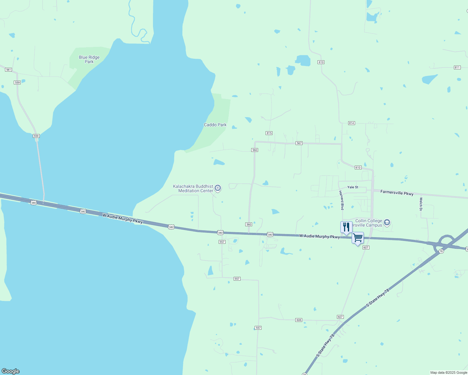 map of restaurants, bars, coffee shops, grocery stores, and more near 343 County Road 560 in Farmersville