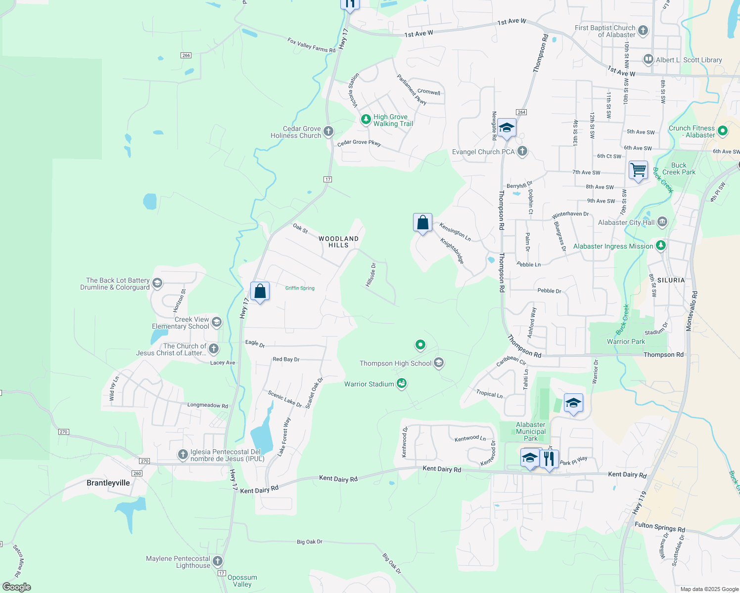 map of restaurants, bars, coffee shops, grocery stores, and more near 133 Forest Ridge Road in Alabaster