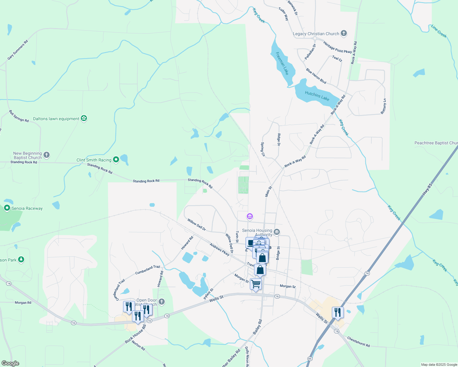 map of restaurants, bars, coffee shops, grocery stores, and more near 115 Miller Ct in Senoia