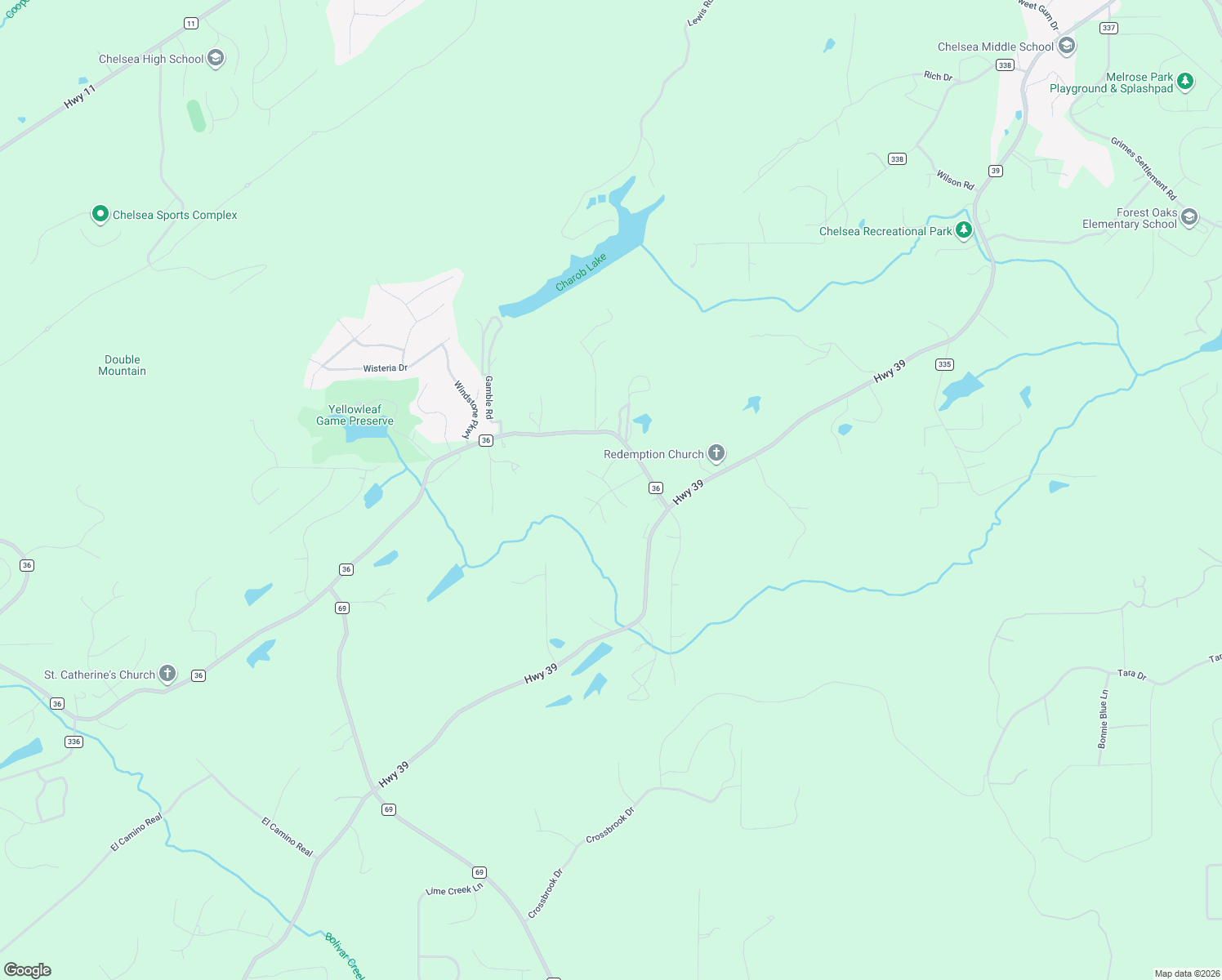 map of restaurants, bars, coffee shops, grocery stores, and more near 206 Hunter Hills Cir in Chelsea