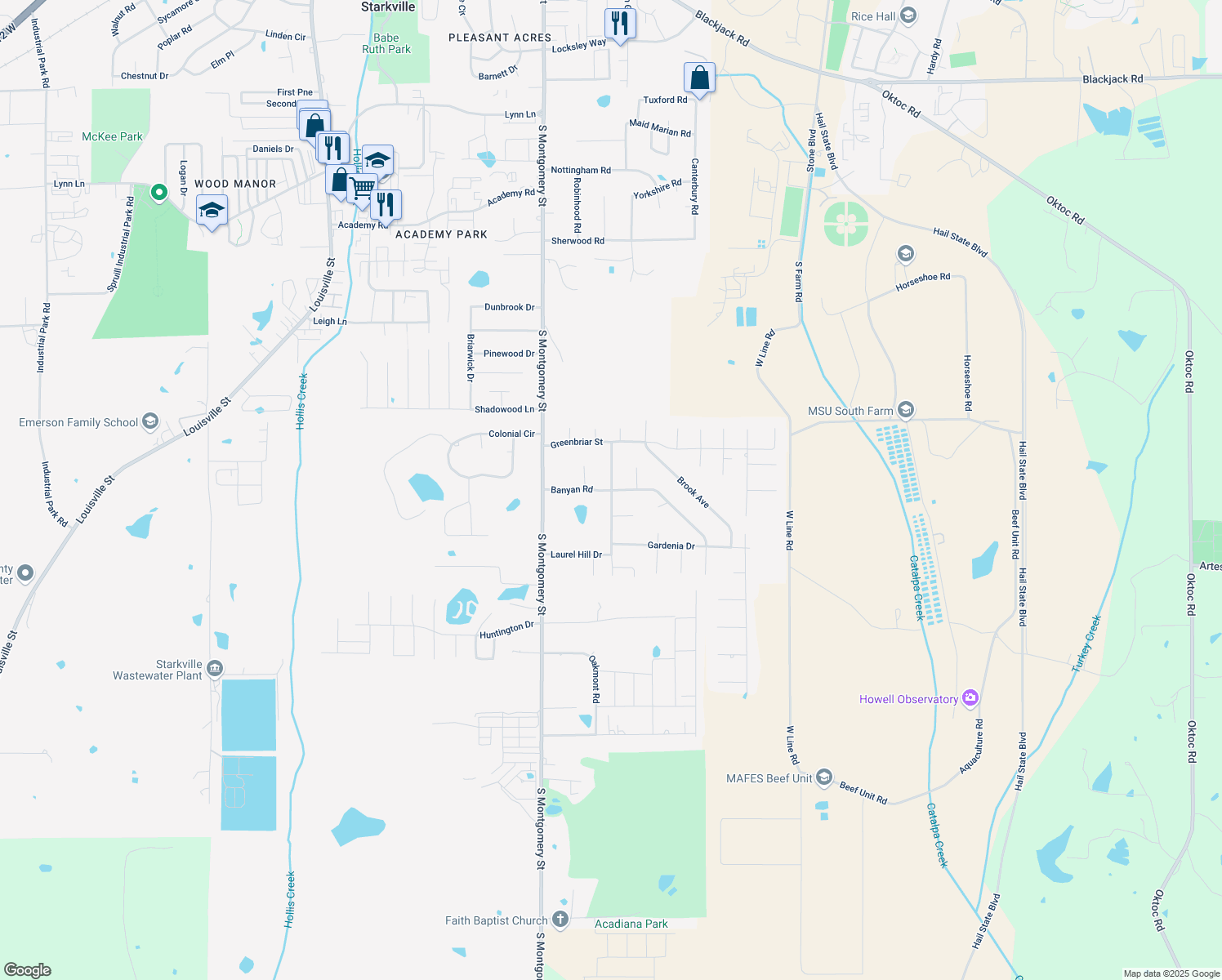 map of restaurants, bars, coffee shops, grocery stores, and more near 298 Laurel Hill Dr in Starkville