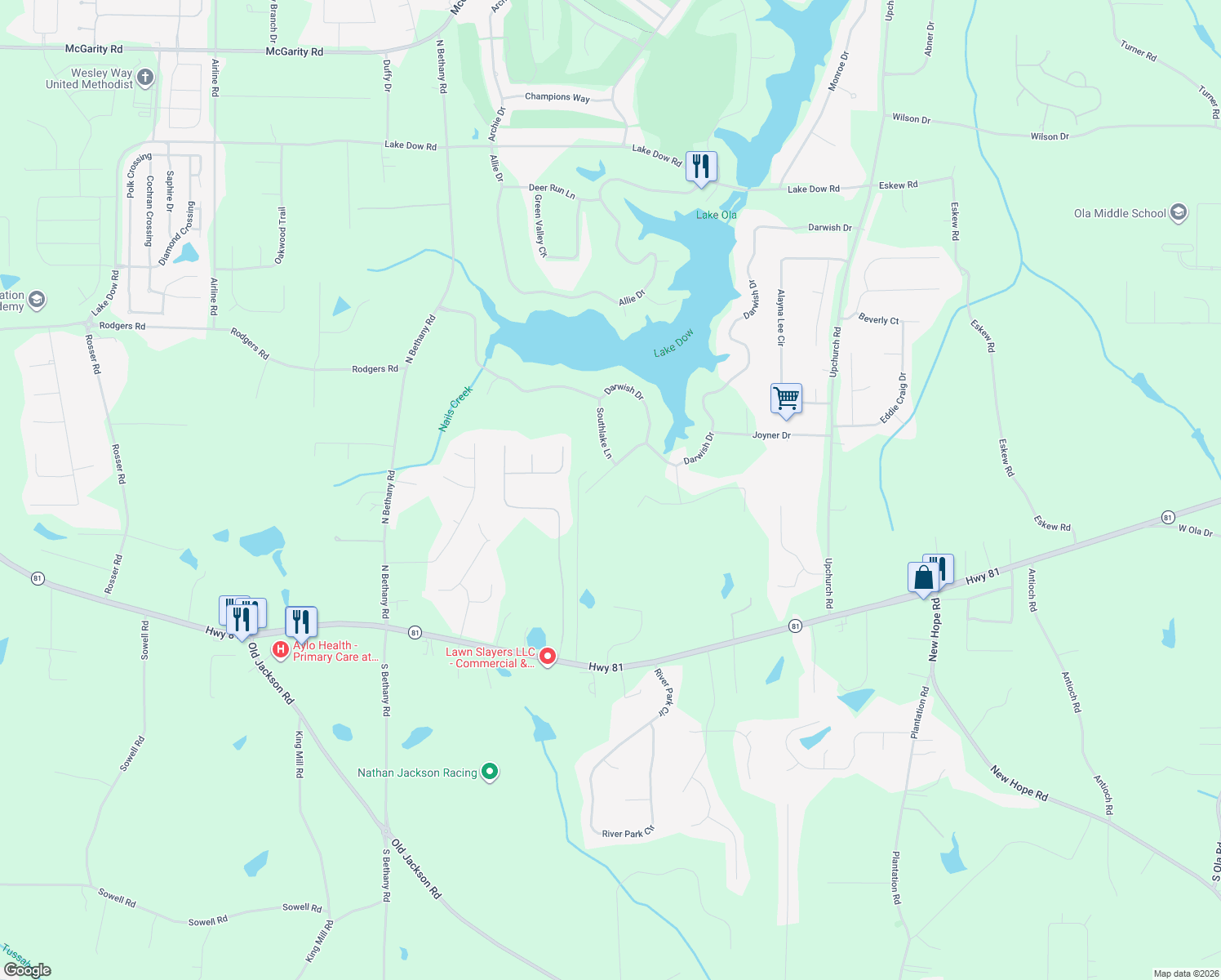 map of restaurants, bars, coffee shops, grocery stores, and more near 75 Paradise Court in McDonough