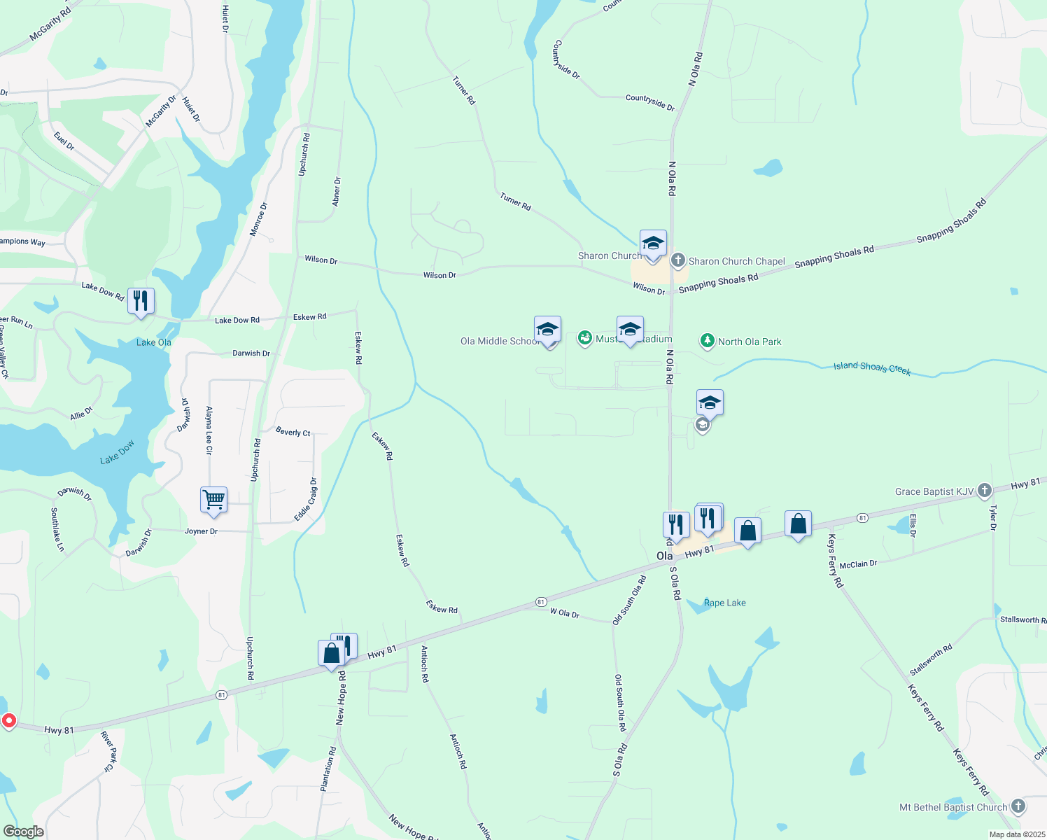 map of restaurants, bars, coffee shops, grocery stores, and more near 609 Turnbill Drive in McDonough