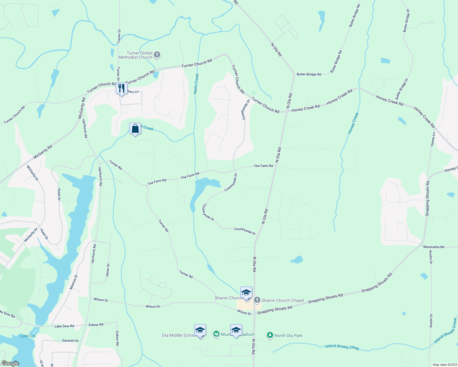 map of restaurants, bars, coffee shops, grocery stores, and more near 315 Country Side Drive in McDonough