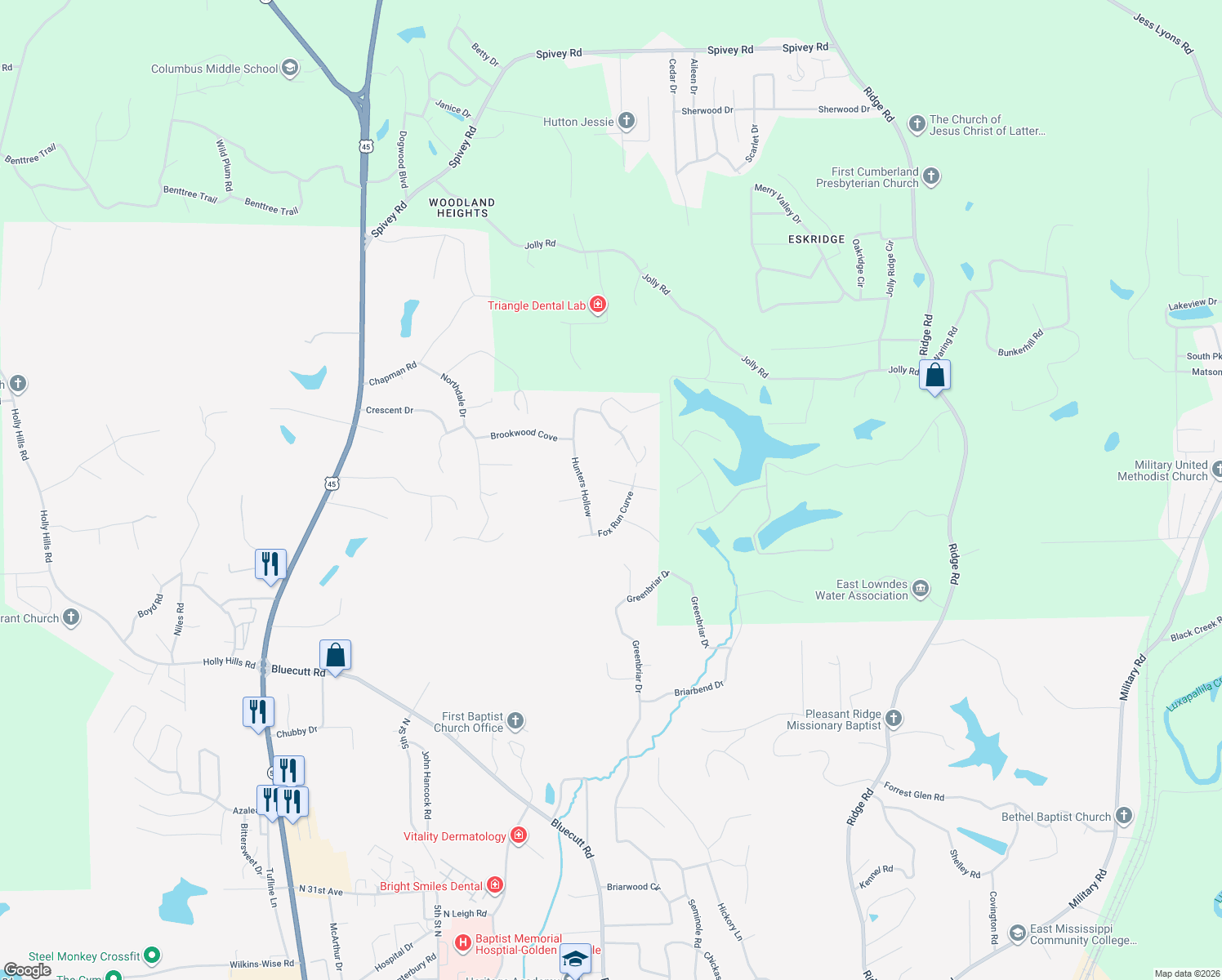 map of restaurants, bars, coffee shops, grocery stores, and more near 67 W Timberlake Cove in Columbus